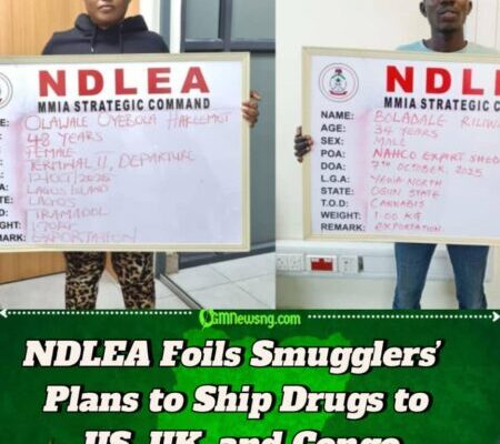 NDLEA Uncovers International Drug Smuggling Rings Concealing Illicit Substances in Frozen Snails and Electrical Bulbs