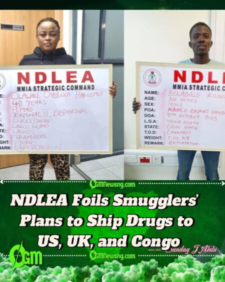 NDLEA Uncovers International Drug Smuggling Rings Concealing Illicit Substances in Frozen Snails and Electrical Bulbs