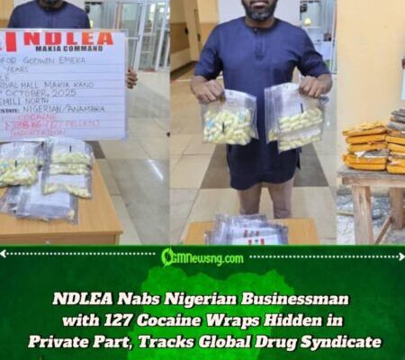 NDLEA Arrests Businessman with 127 Cocaine Wraps at Kano Airport, Uncovers Meth and Opioids Hidden in Ceramics, Drinks, and Soaps