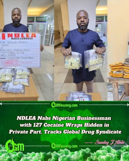 NDLEA Arrests Businessman with 127 Cocaine Wraps at Kano Airport, Uncovers Meth and Opioids Hidden in Ceramics, Drinks, and Soaps