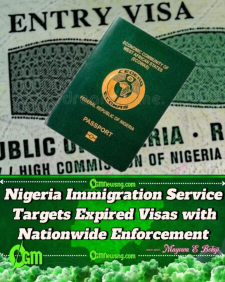 Nigeria Immigration Service Begins Crackdown on Visa Violators October 1