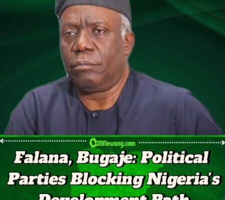 Nigeria Political Parties Stalling Nigeria’s Progress – Falana, Bugaje