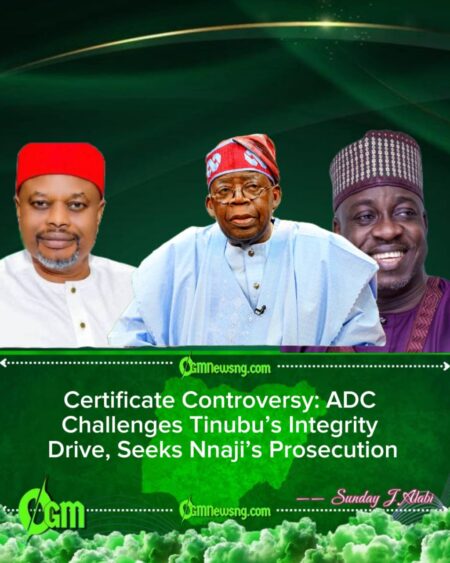 From Adeosun to Nnaji: How Nigeria’s Vetting System Keeps Failing