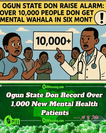 Ogun State Don Raise Alarm: Over 10,000 People Don Get Mental Health Wahala in Six Months