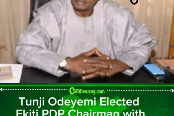 Ex-Acting Governor Leads PDP in Ekiti as Chairman After Congress Triumph