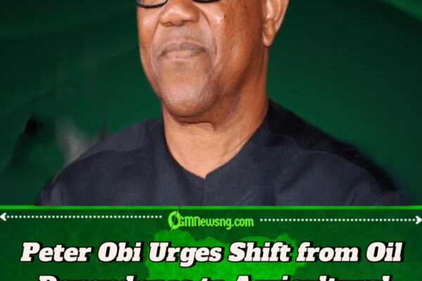Peter Obi Declares Agriculture the Key to Nigeria’s Wealth Revolution