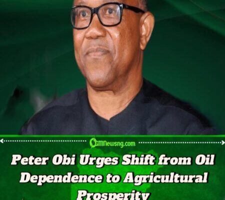 Peter Obi Declares Agriculture the Key to Nigeria’s Wealth Revolution