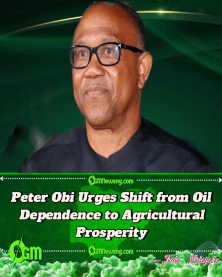 Peter Obi Declares Agriculture the Key to Nigeria’s Wealth Revolution