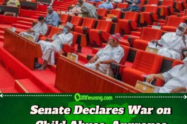 NIGERIAN SENATE PROPOSES LIFE IMPRISONMENT FOR DEFILEMENT OF MINORS