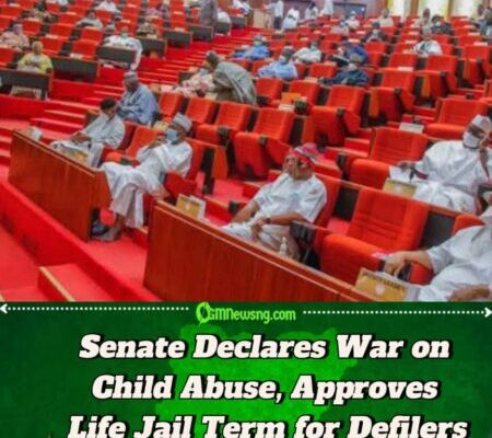 NIGERIAN SENATE PROPOSES LIFE IMPRISONMENT FOR DEFILEMENT OF MINORS