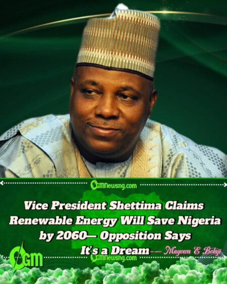 Vice President Shettima Unveils $410 Billion Clean Energy Plan by 2060 as Nigeria Sets Sights on African Dominance