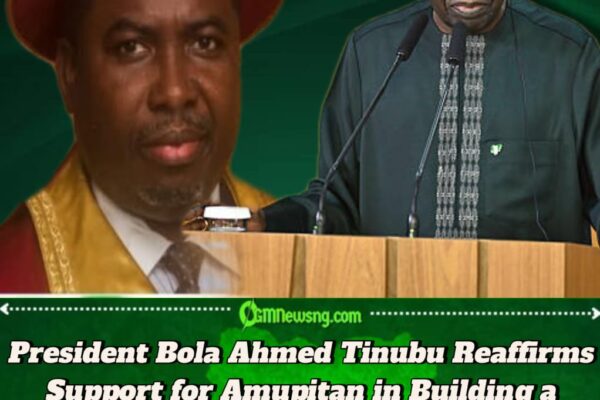 President Bola Ahmed Tinubu Tasks Prof. Amupitan on Accountability and Public Confidence in Elections