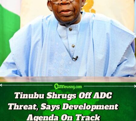 Tinubu Unfazed by ADC Formation, Focused on Development – Aide