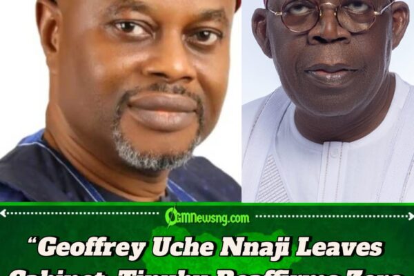 Geoffrey Uche Nnaji Steps Down, Presidency Pledges Accountability in Science Ministry