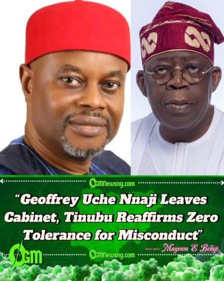 Geoffrey Uche Nnaji Steps Down, Presidency Pledges Accountability in Science Ministry