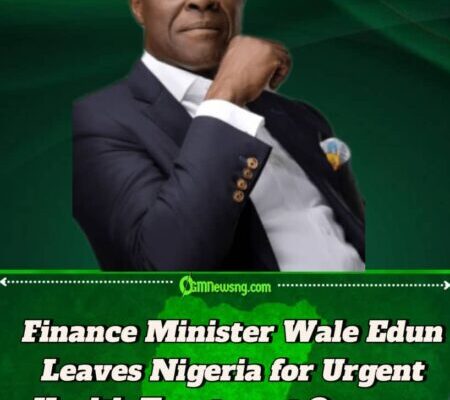 Finance Minister Wale Edun’s Medical Trip Abroad Triggers Speculation and Concern