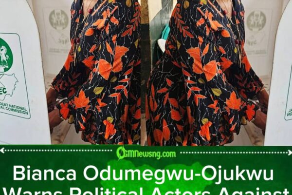 Bianca Odumegwu-Ojukwu, Minister of State for Foreign Affairs Applauds Peaceful Anambra Election