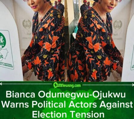 Bianca Odumegwu-Ojukwu, Minister of State for Foreign Affairs Applauds Peaceful Anambra Election