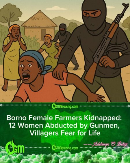 Borno Female Farmers Kidnapped by Gunmen, Village in Panic