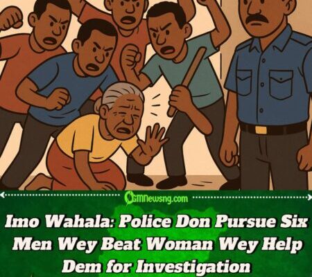 Imo State Wahala:Imo Police Boss Don Para! Orders Sharp Investigation as Six Men Beat 55-Year-Old Woman for Cooperating with Police