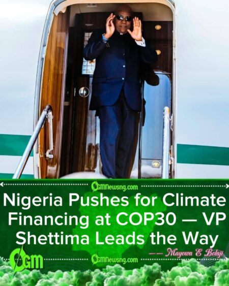 VP Kashim Shettima Secures Global Partnerships to Drive Nigeria’s Green Growth