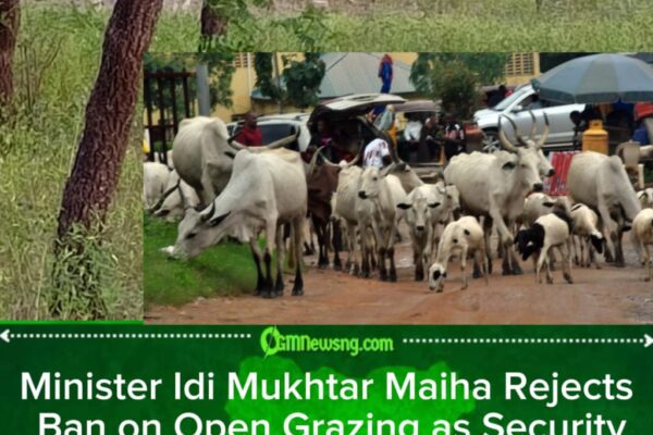 Minister Idi Mukhtar Maiha Denies Open Grazing Ban as Critics Accuse FG of Protecting Herdsmen