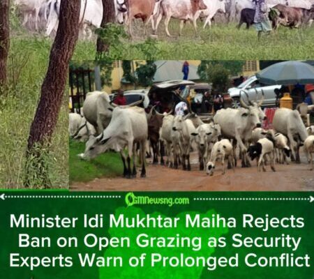 Minister Idi Mukhtar Maiha Denies Open Grazing Ban as Critics Accuse FG of Protecting Herdsmen