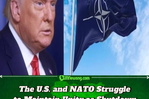 The U.S. and NATO Face Mounting Pressure as Arms Shipments Halt Amid Washington Gridlock