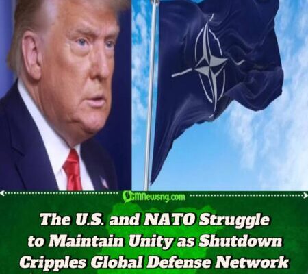 The U.S. and NATO Face Mounting Pressure as Arms Shipments Halt Amid Washington Gridlock
