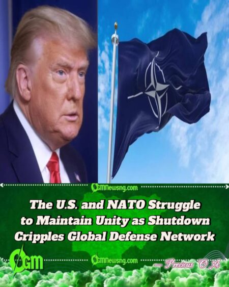 The U.S. and NATO Face Mounting Pressure as Arms Shipments Halt Amid Washington Gridlock