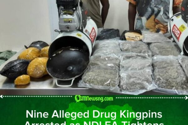 NDLEA Smashes Six Drug Syndicates, Seizes Tons of Illicit Substances Ahead of Festive Season