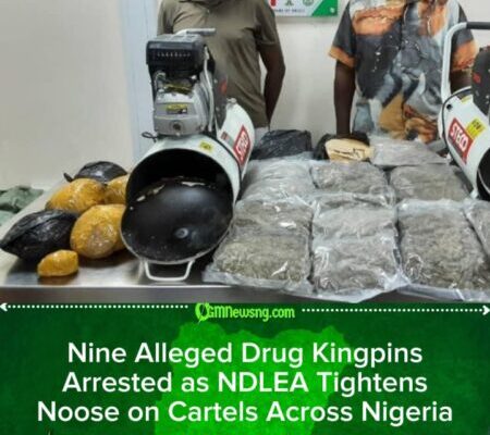 NDLEA Smashes Six Drug Syndicates, Seizes Tons of Illicit Substances Ahead of Festive Season
