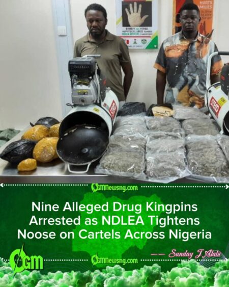 NDLEA Smashes Six Drug Syndicates, Seizes Tons of Illicit Substances Ahead of Festive Season