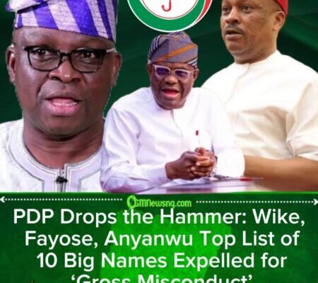 PDP Expels Ayo Fayose, Nyesom Wike, Samuel Anyanwu and Seven Others Over Anti-Party Activities