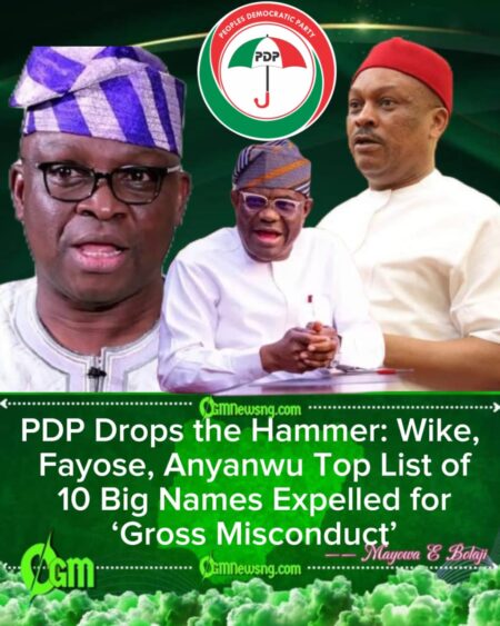 PDP Expels Ayo Fayose, Nyesom Wike, Samuel Anyanwu and Seven Others Over Anti-Party Activities
