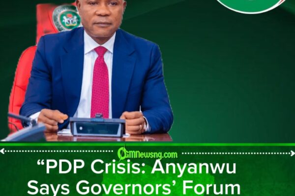 Anyanwu Blames PDP Governors for Deepening Party Crisis