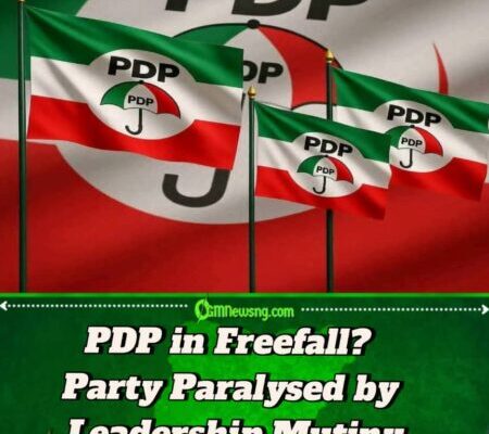 Power Struggle Deepens as PDP Splits into Rival Factions
