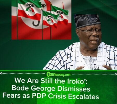 Court Halts Convention, PDP Moves On: Inside the Internal Rift Rocking the Party