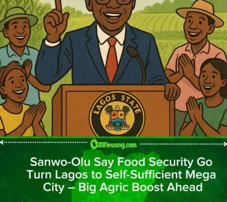 Sanwo-Olu Declare Food Security as Key Part of Lagos Transformation Plan – Gbas Gbos for Better Life