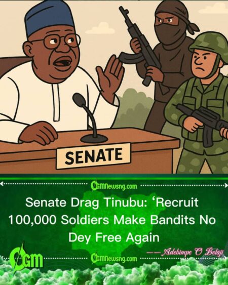 Senate Urge Tinubu Make E Recruit 100,000 Soldiers Urgently to Stop Kebbi Bandits”