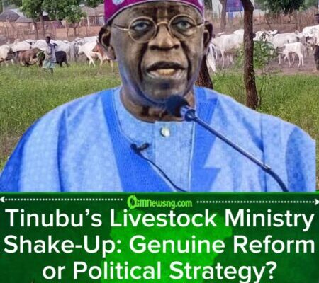 President Bola Ahmed Tinubu’s Livestock Ministry Shake-Up: Genuine Reform or Political Strategy?