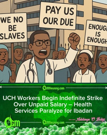 UCH Workers Shut Down Hospital Over Unpaid Salary – Strike Paralyze Health Services for Ibadan