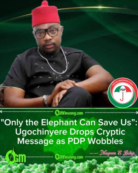 Hon. Ikenga Ugochinyere Sparks Panic After Claiming PDP’s Umbrella Can No Longer Protect Nigerians