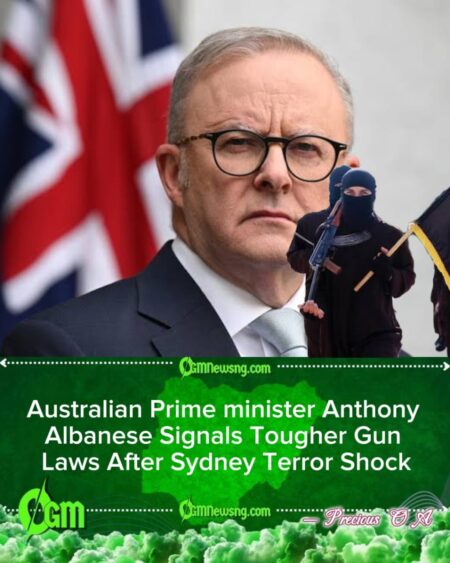 Australian Prime minister Anthony Albanese Calls for National Unity as Gun Law Debate Reignites