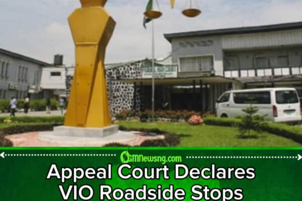 Appeal Court Affirms Ruling on VIO: Judges Declare Vehicle Impoundment and Roadside Stops Unlawful