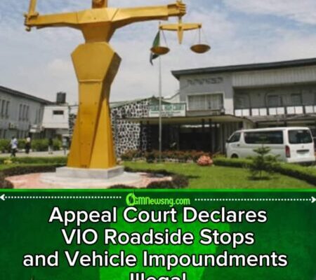 Appeal Court Affirms Ruling on VIO: Judges Declare Vehicle Impoundment and Roadside Stops Unlawful