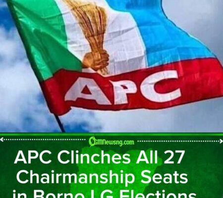 BOSIEC Declares APC Winner of All Chairmanship Positions in Borno