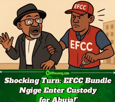 EFCC Grab Former Anambra Governor Ngige for Abuja –Gbas Gbos Breakdown Don Land