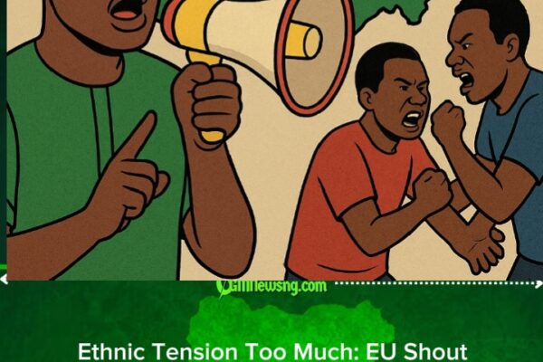 European Union Don Warn Nigerians: Stop Ethnic War Now Before E Scatter the Country