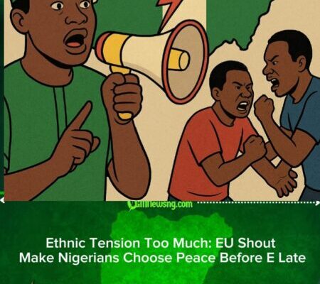 European Union Don Warn Nigerians: Stop Ethnic War Now Before E Scatter the Country